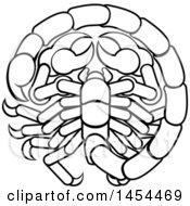 Clipart Graphic Of A Black And White Lineart Scorpio Scorpion Astrology Zodiac Horoscope Royalty Free Vector Illustration