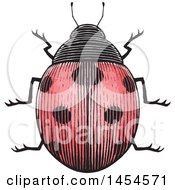 Poster, Art Print Of Sketched Ladybug
