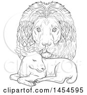 Poster, Art Print Of Black And White Sketchd Lion Head Looking Over A Sleeping Lamb