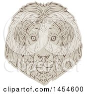Poster, Art Print Of Sketched Male Lion Face