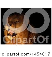 Poster, Art Print Of Male Lion In The Darkness