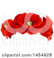 Red Poppy Flower Design Element