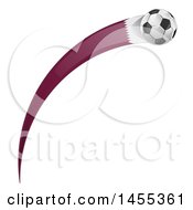 Soccer Ball And Qatar Flag Ribbon