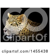 Poster, Art Print Of Leopard Face In Profile On Black