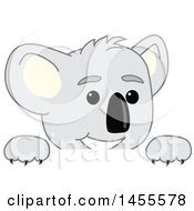 Poster, Art Print Of Koala Bear School Mascot Character Peeking Over A Sign