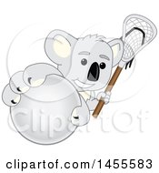 Poster, Art Print Of Koala Bear School Mascot Character Holding A Lacrosse Stick And Grabbing A Ball