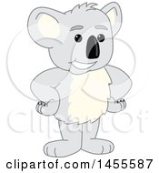 Koala Bear School Mascot Character Standing With Hands On Hips