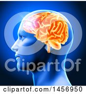 Poster, Art Print Of 3d Profiled Mans Head With Glowing Orange Brain On Blue