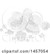 Poster, Art Print Of Black And White Group Of Sea Fans Corals And Anemones