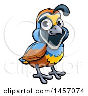 Poster, Art Print Of Cartoon California Quail Bird