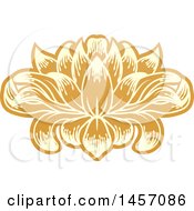 Poster, Art Print Of Beautiful Yellow And Orange Water Lily Lotus Flower