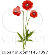 Poster, Art Print Of Red Poppy Flowers On Stems