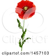 Clipart Of A Red Poppy Flower And Stem Royalty Free Vector Illustration