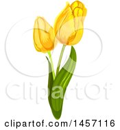 Clipart Of A Stem Of Yellow Tulip Flowers Royalty Free Vector Illustration