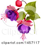 Clipart Of A Stem Of Fuchsia Flowers Royalty Free Vector Illustration