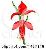 Clipart Of A Red Orchid Flower Royalty Free Vector Illustration