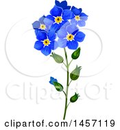 Clipart Of A Stem Of Forget Me Not Flowers Royalty Free Vector Illustration