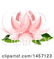 Clipart Of A Pink Water Lily Flower Royalty Free Vector Illustration