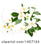 Clipart Of A Plant With White Flowers Royalty Free Vector Illustration