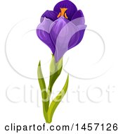 Clipart Of A Purple Crocus Flower Royalty Free Vector Illustration