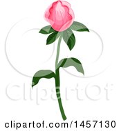 Clipart Of A Plant With Pink Flowers Royalty Free Vector Illustration