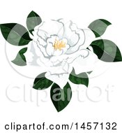 Clipart Of A White Flower Royalty Free Vector Illustration