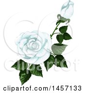 Poster, Art Print Of Stem Of White Roses And Leaves