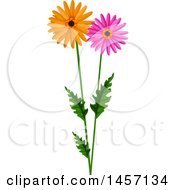 Poster, Art Print Of Stem With Pink And Orange Daisy Flowers