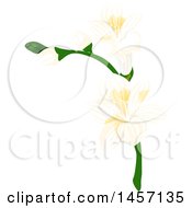 Poster, Art Print Of Plant With White Flowers