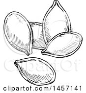 Clipart Of Black And White Sketched Pumpkin Seeds Royalty Free Vector Illustration by Vector Tradition SM