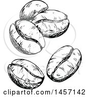 Clipart Of Black And White Sketched Coffee Beans Royalty Free Vector Illustration