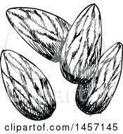 Clipart Of Black And White Sketched Almonds Royalty Free Vector Illustration