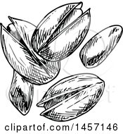 Clipart Of Black And White Sketched Pistachios Royalty Free Vector Illustration
