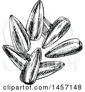 Clipart Of Black And White Sketched Sunflower Seeds Royalty Free Vector Illustration by Vector Tradition SM