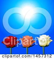 Clipart Of A Sunny Blue Sky Over 3d Red Peach And White Orses Royalty Free Vector Illustration