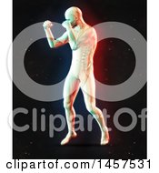 Poster, Art Print Of 3d Medical Male Figure Boxing With Visible Spine With Dual Color Effect Over Black