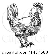 Clipart Of A Black And White Sketched Chicken In Profile Royalty Free Vector Illustration