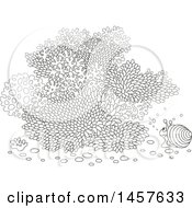 Clipart Of A Black And White Snail At A Coral Reef Royalty Free Vector Illustration