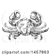 Clipart Of A Sketched Black And White Seafood Crab Royalty Free Vector Illustration