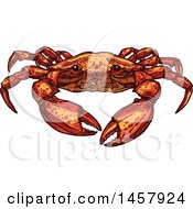 Clipart Of A Sketched Crab Royalty Free Vector Illustration by Vector Tradition SM