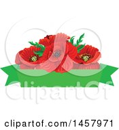 Clipart Of A Red Poppy Flower And Green Banner Design Element Royalty Free Vector Illustration