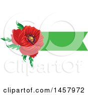 Poster, Art Print Of Red Poppy Flower And Green Banner Design Element
