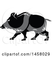 Poster, Art Print Of Black And White Razorback Boar Mascot In Profile