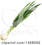 Clipart Of Green Onions Royalty Free Vector Illustration by Vector Tradition SM