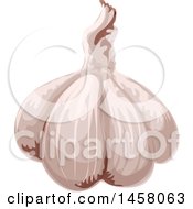 Clipart Of A Garlic Bulb Royalty Free Vector Illustration