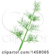 Clipart Of A Fennel Sprig Royalty Free Vector Illustration