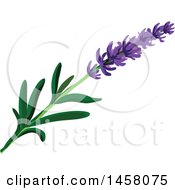 Poster, Art Print Of Lavender Sprig