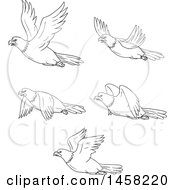 Poster, Art Print Of Black And White Flying Bald Eagles In Lineart Style
