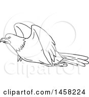 Clipart Of A Black And White Flying Bald Eagle In Lineart Style Royalty Free Vector Illustration