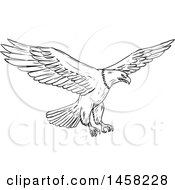 Poster, Art Print Of Flying Bald Eagle In Sketched Black And White Style